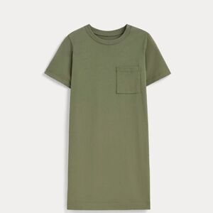 Everlane The Organic Cotton Weekend Tee Dress